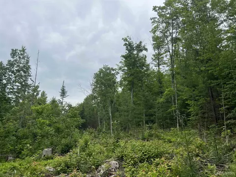 tbd Olson Loop, Iron River, MI 49935 photo 26