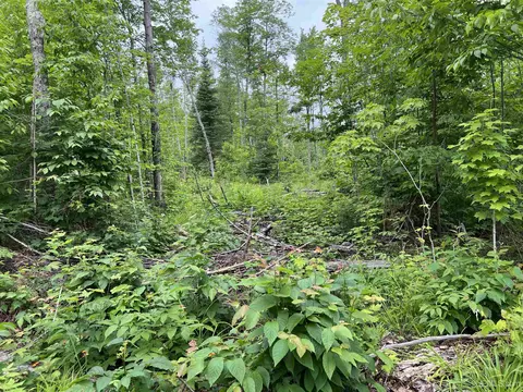 tbd Olson Loop, Iron River, MI 49935 photo 12