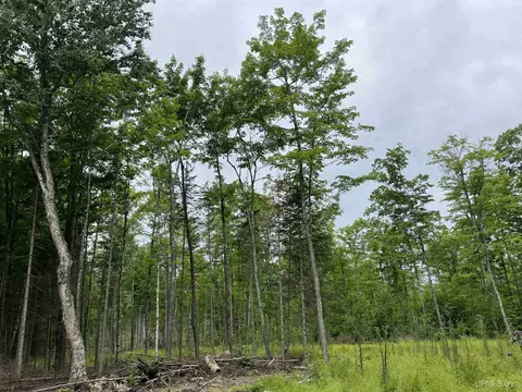 tbd Olson Loop, Iron River, MI 49935 photo 59