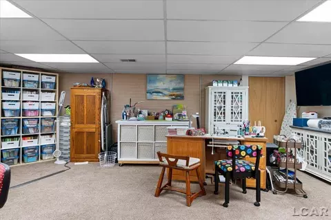 Other - 4207 Crescent Vw, Tecumseh, MI 49286 photo 13 of 22