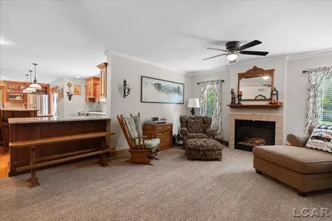 Living - 4207 Crescent Vw, Tecumseh, MI 49286 photo 1 of 2