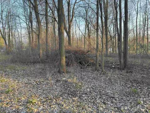 00 Bridgehampton, Sandusky, MI 48471 photo 3