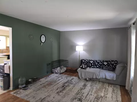 Living - 205 Estelle, Hemlock, MI 48626 photo 1 of 2