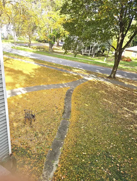 Exterior - 229 N N Arc, Gladwin, MI 48624 photo 6 of 9