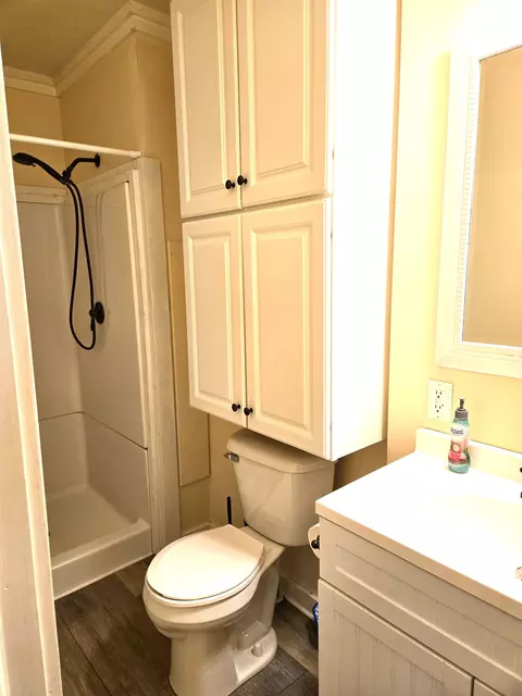Bath - 229 N N Arc, Gladwin, MI 48624 photo 3 of 3