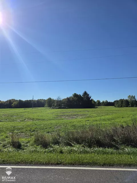 711 W Bennington, Owosso, MI 48867
