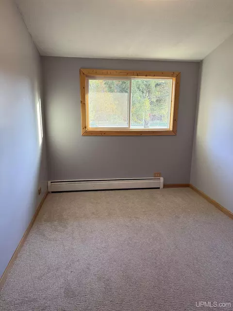 Other - E3712 26th, Chatham, MI 49816 photo 5 of 12