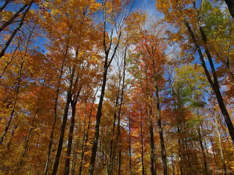 Other - Off Net River, Amasa, MI 49903 photo 6 of 13