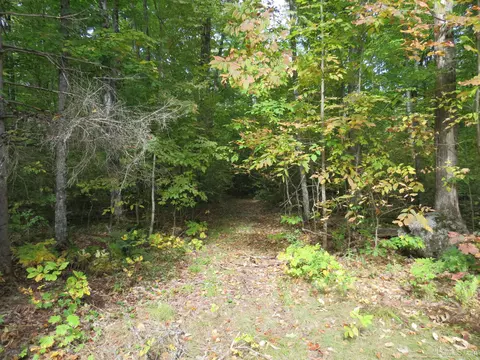 Exterior - Off Net River, Amasa, MI 49903 photo 6 of 7