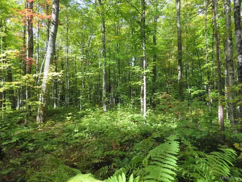Exterior - Off Net River, Amasa, MI 49903 photo 4 of 7