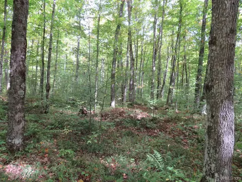 Exterior - Off Net River, Amasa, MI 49903 photo 7 of 7