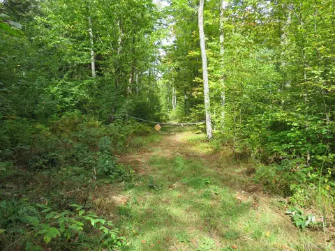 Other - Off Net River, Amasa, MI 49903 photo 12 of 13