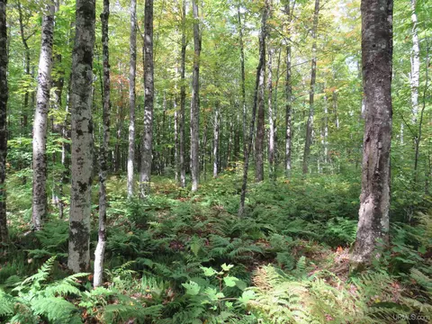 Exterior - Off Net River, Amasa, MI 49903 photo 5 of 7