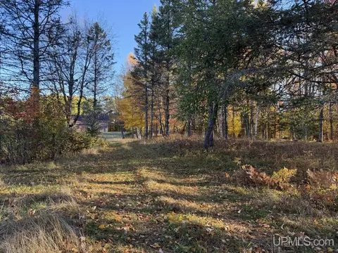Other - 25455 Opal, Watton, MI 49970 photo 21 of 40