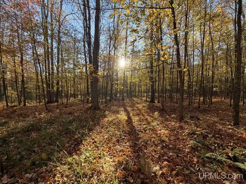 Other - 25455 Opal, Watton, MI 49970 photo 26 of 40