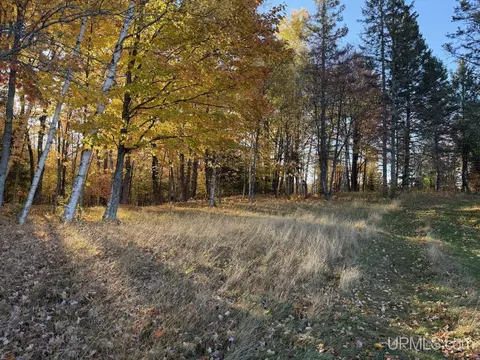 Exterior - 25455 Opal, Watton, MI 49970 photo 3 of 16
