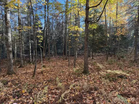 Exterior - 25455 Opal, Watton, MI 49970 photo 6 of 16