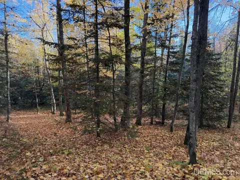 Exterior - 25455 Opal, Watton, MI 49970 photo 5 of 16