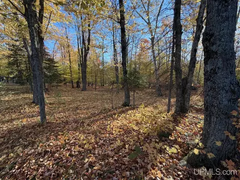 Exterior - 25455 Opal, Watton, MI 49970 photo 4 of 16