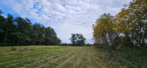 00 Lemon, Bancroft, MI 48414 photo 10