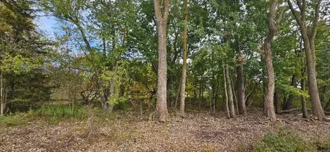 00 Lemon, Bancroft, MI 48414 photo 16