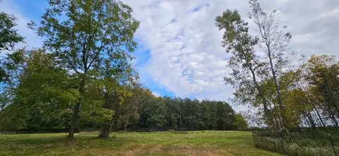 00 Lemon, Bancroft, MI 48414 photo 6
