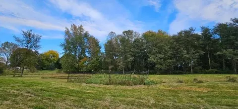 00 Lemon, Bancroft, MI 48414 photo 8