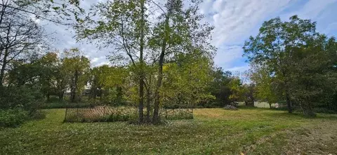 00 Lemon, Bancroft, MI 48414 photo 7