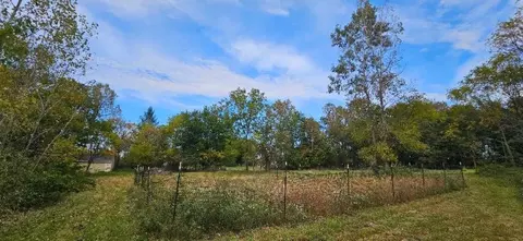 00 Lemon, Bancroft, MI 48414 photo 3