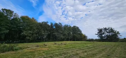 00 Lemon, Bancroft, MI 48414 photo 9