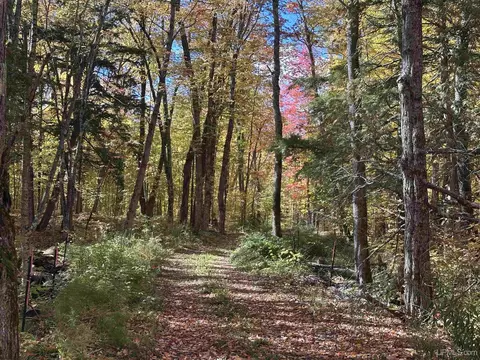 Off East Shore, Marenisco, MI 49947
