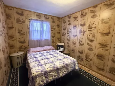Bedroom - 5243 Hack, Britton, MI 49229 photo 4 of 6