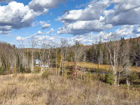 Off Chaney Lake, Wakefield, MI 49968 photo 18