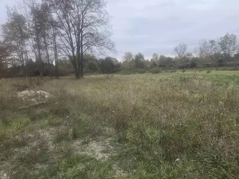 0 Downey Vl, Capac, MI 48014 photo 6