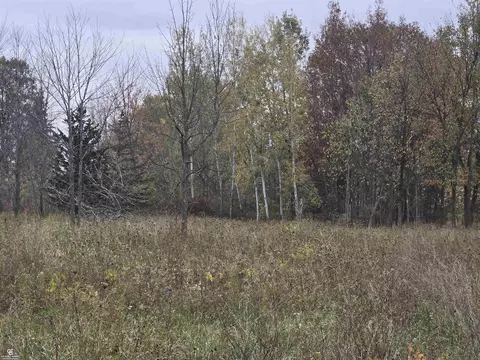 0 Downey Vl, Capac, MI 48014 photo 5