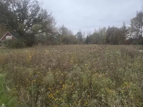 0 Downey Vl, Capac, MI 48014 photo 4