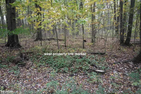 0 Dunn, Riley, MI 48041 photo 2