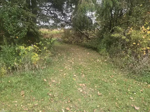 00 Brown Vl, Avoca, MI 48006 photo 10