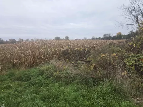 00 Brown Vl, Avoca, MI 48006 photo 2