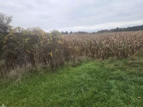 00 Brown Vl, Avoca, MI 48006 photo 3