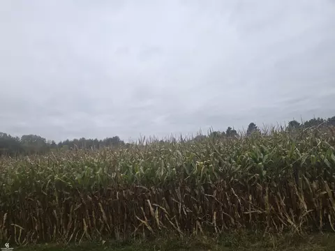 00 Brown Vl, Avoca, MI 48006 photo 8