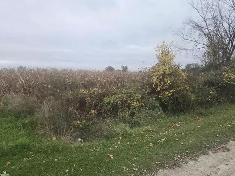 00 Brown Vl, Avoca, MI 48006 photo 12