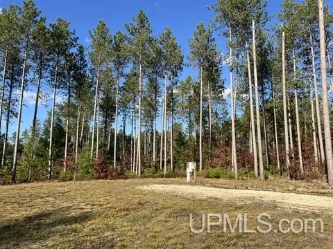 n16421 West Roush Road, Pembine T-wi, WI 54156