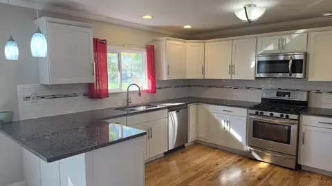 Kitchen - 808 Shady, Tecumseh, MI 49286 photo 1 of 3