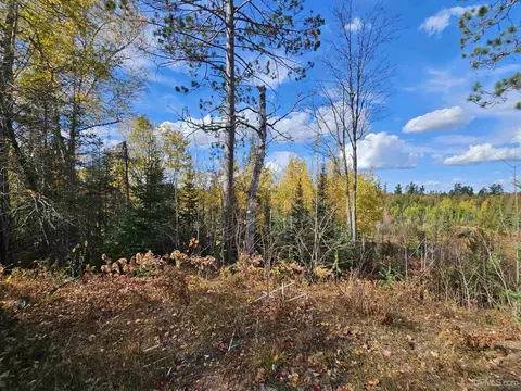 Exterior - 20557 Co Rd Ff, Ishpeming, MI 49849 photo 15 of 15