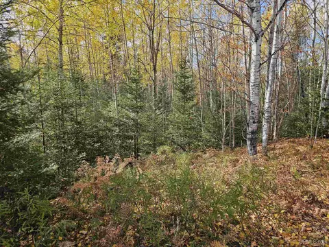 Other - 20557 Co Rd Ff, Ishpeming, MI 49849 photo 15 of 16
