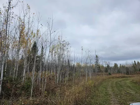 Other - 15889 Engstrom, Bruce Crossing, MI 49912 photo 9 of 11