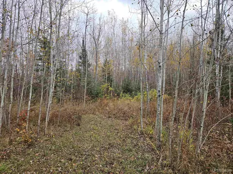 Exterior - 15889 Engstrom, Bruce Crossing, MI 49912 photo 8 of 11