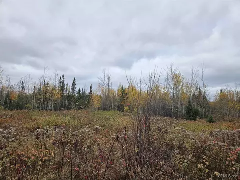 Other - 15889 Engstrom, Bruce Crossing, MI 49912 photo 10 of 11