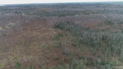 66 9 Acres Greenwood Mine Rd, Ishpeming, MI 49849 photo 36